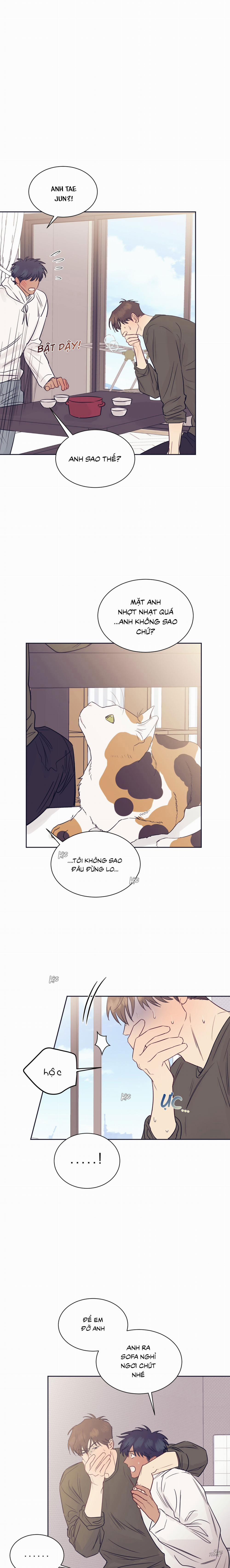 Tình Đẹp Không Vẹn Nguyên 20 trang 0