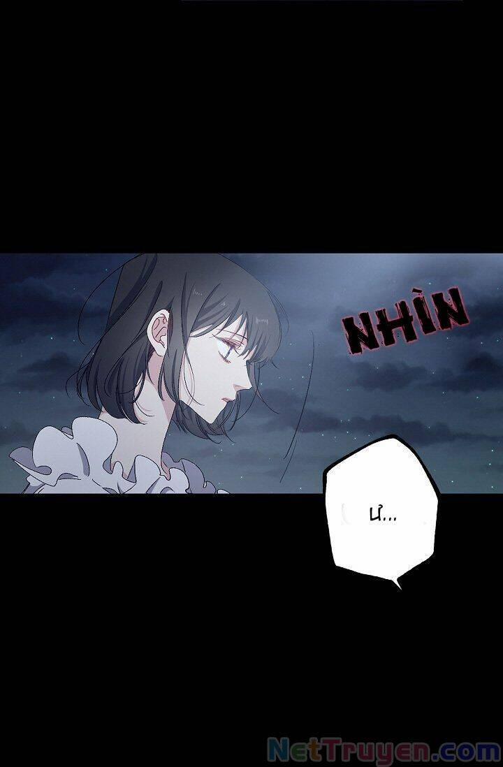 Tình Điên Dại 13 trang 11