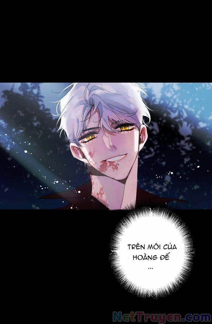 Tình Điên Dại 13 trang 16