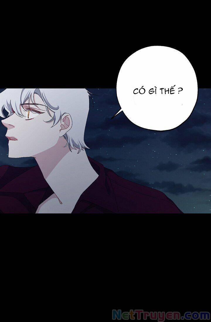 Tình Điên Dại 13 trang 19