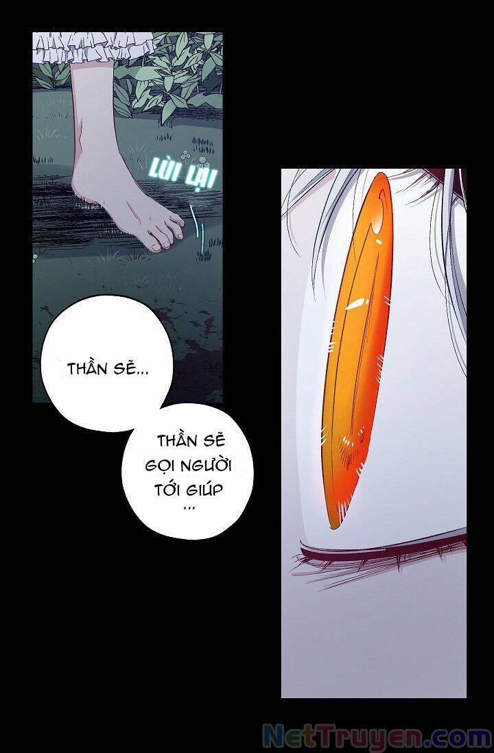 Tình Điên Dại 13 trang 21