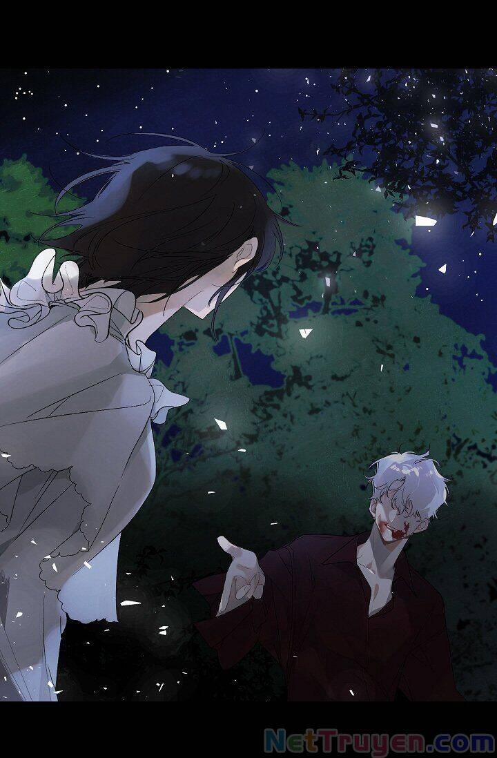 Tình Điên Dại 13 trang 5