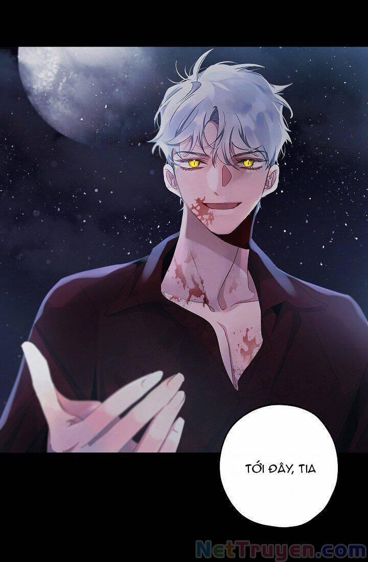 Tình Điên Dại 13 trang 7