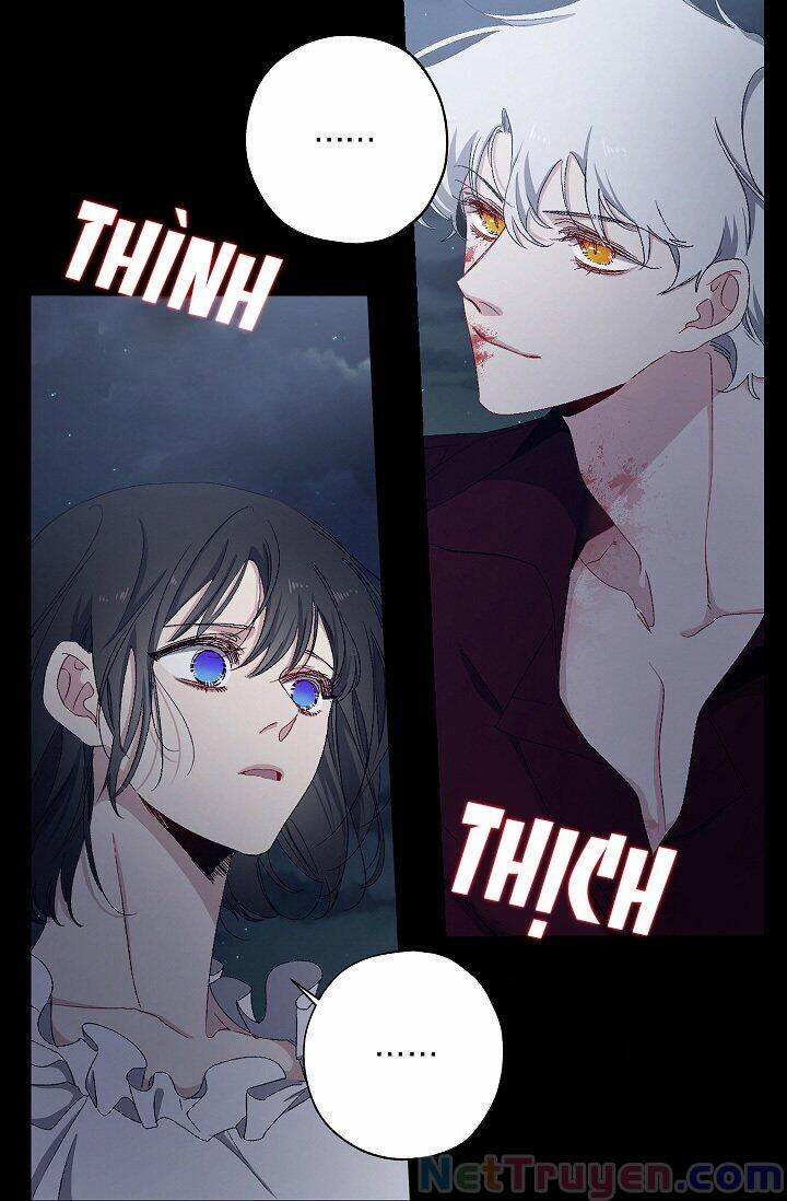 Tình Điên Dại 13 trang 8