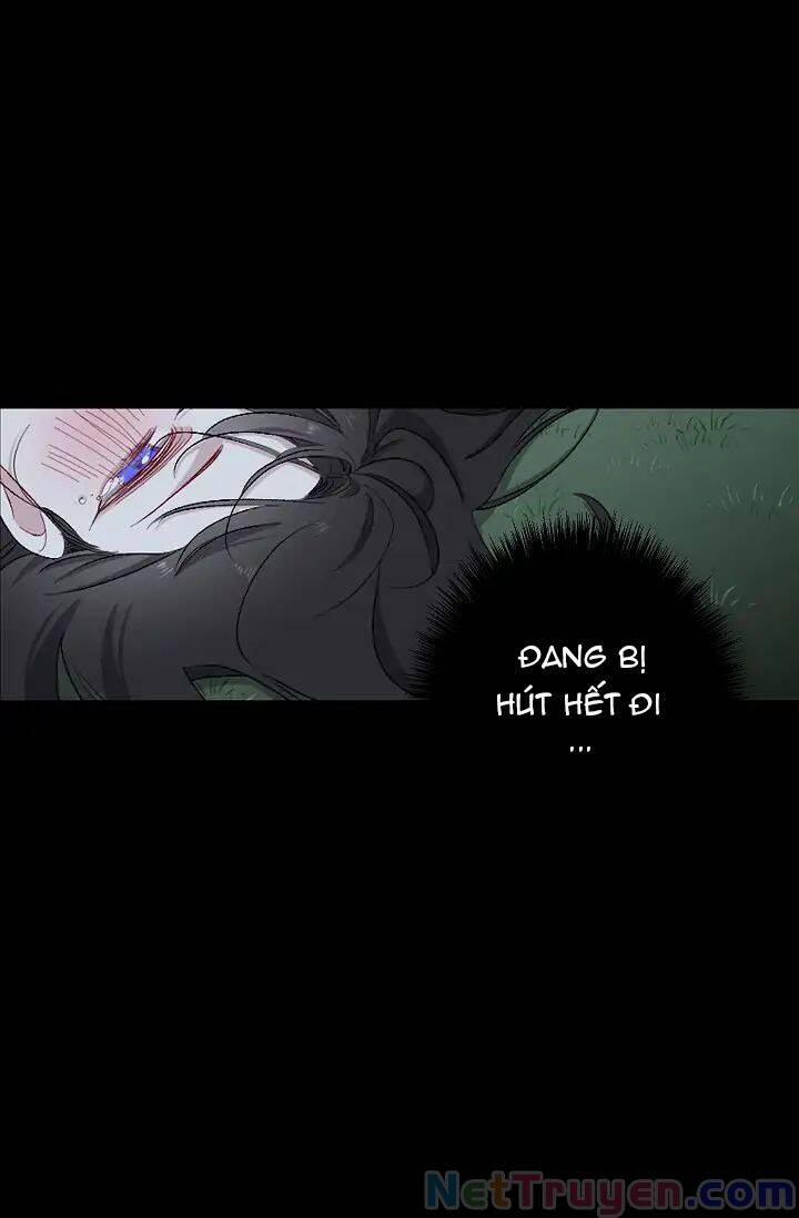 Tình Điên Dại 14 trang 10