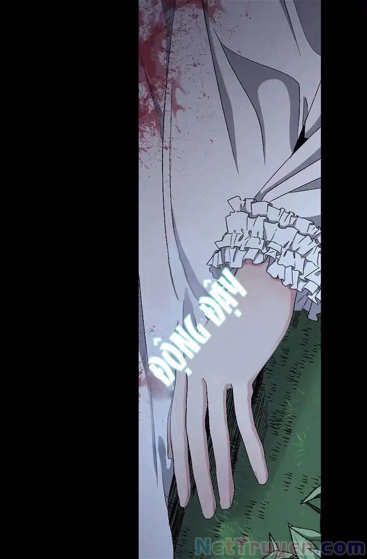 Tình Điên Dại 14 trang 11