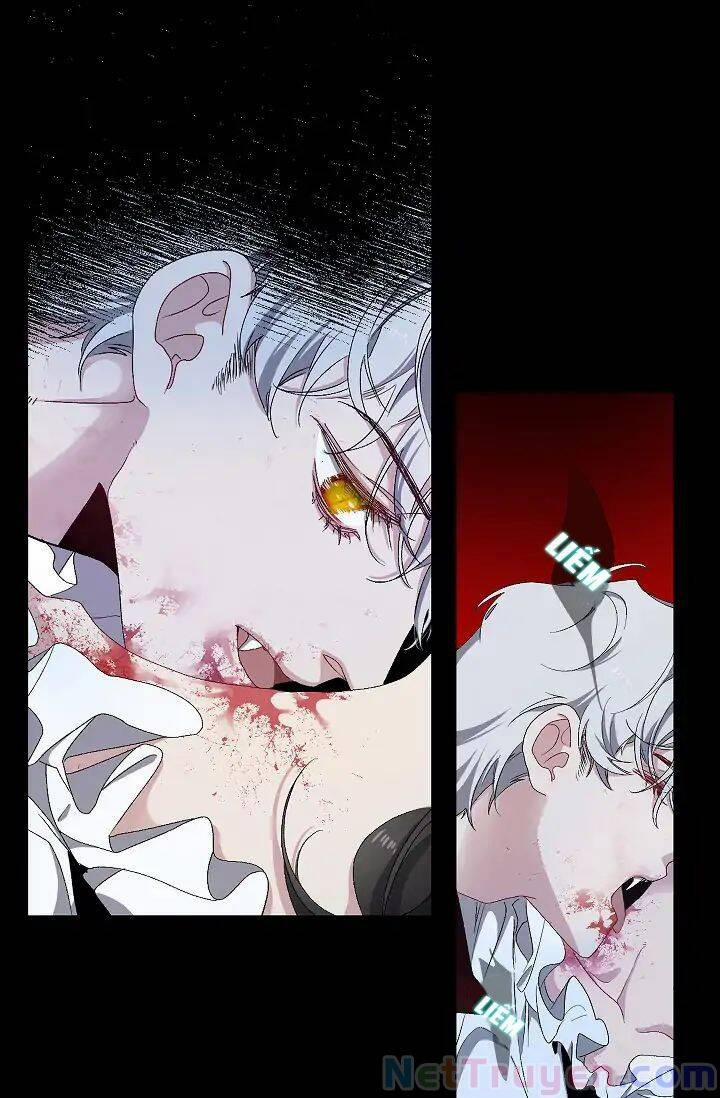 Tình Điên Dại 14 trang 12