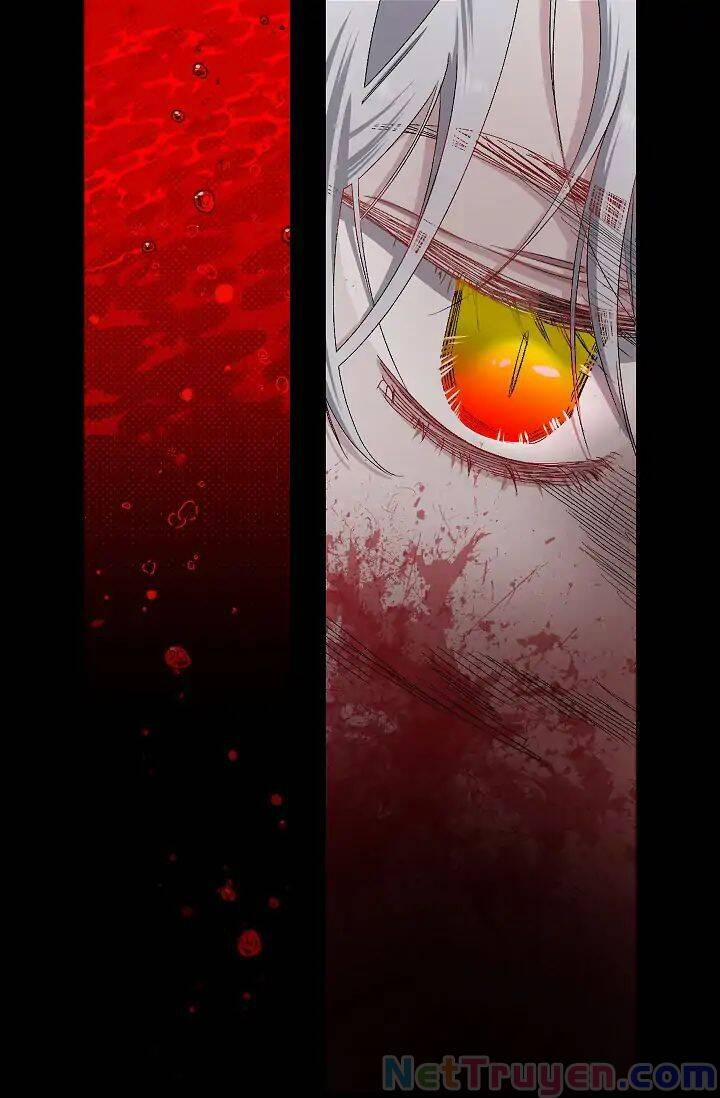 Tình Điên Dại 14 trang 13