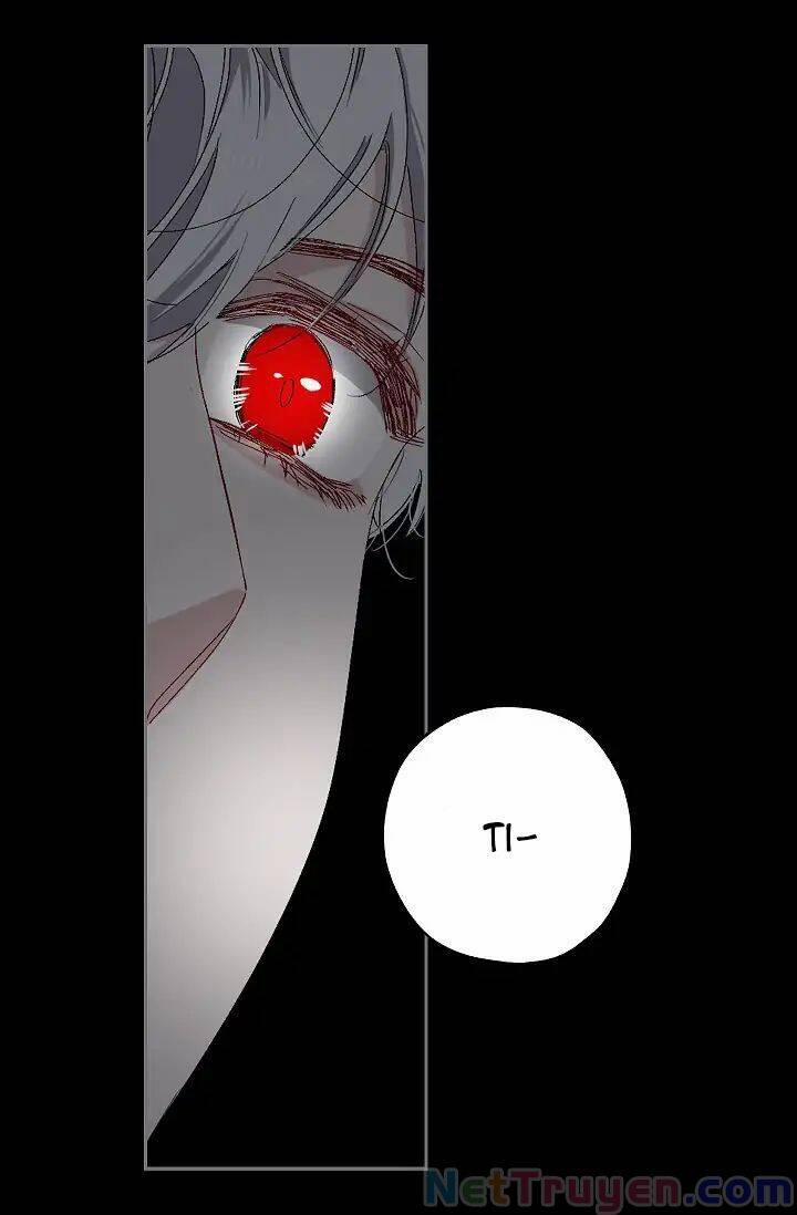 Tình Điên Dại 14 trang 16