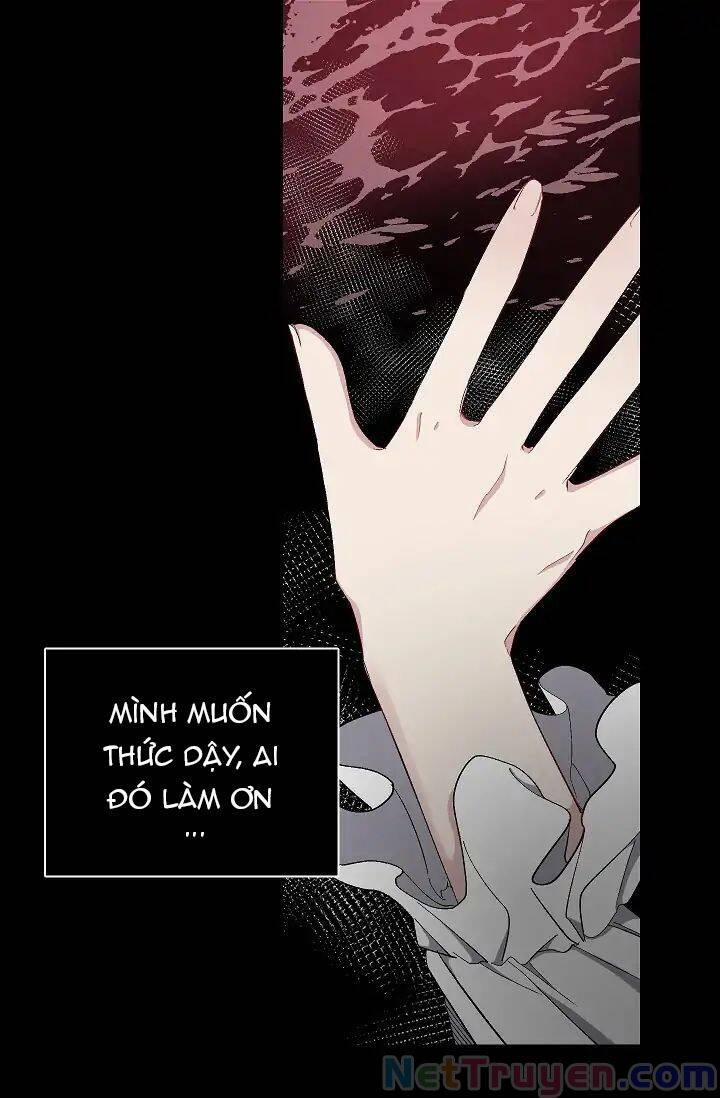 Tình Điên Dại 14 trang 21