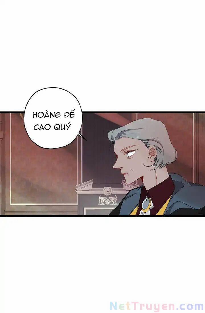 Tình Điên Dại 14 trang 24