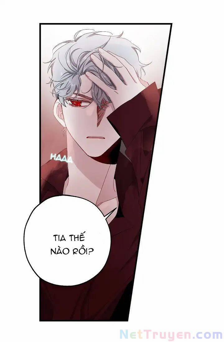 Tình Điên Dại 14 trang 26