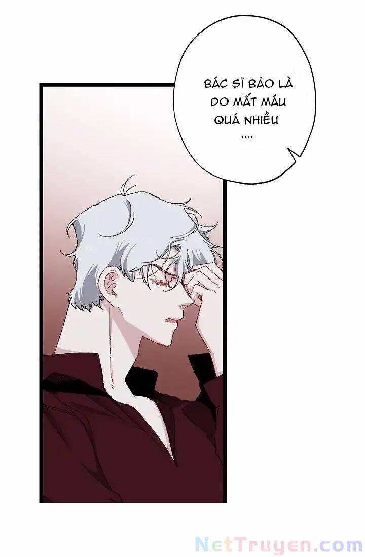 Tình Điên Dại 14 trang 29