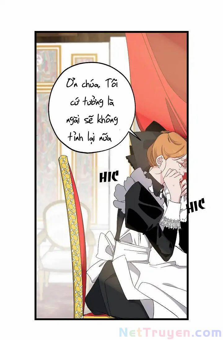 Tình Điên Dại 14 trang 36