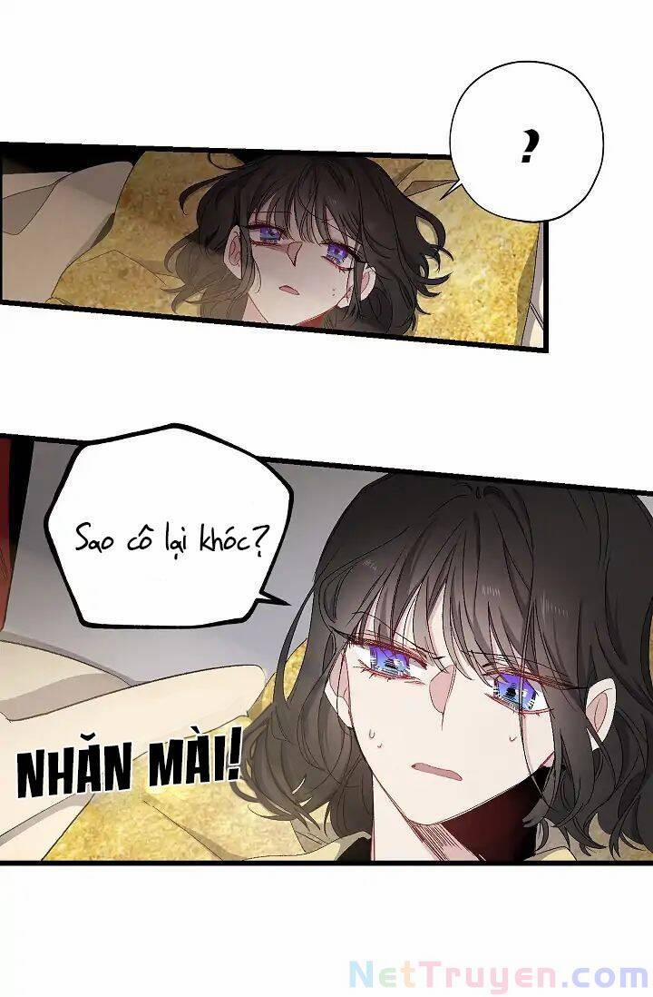 Tình Điên Dại 14 trang 37