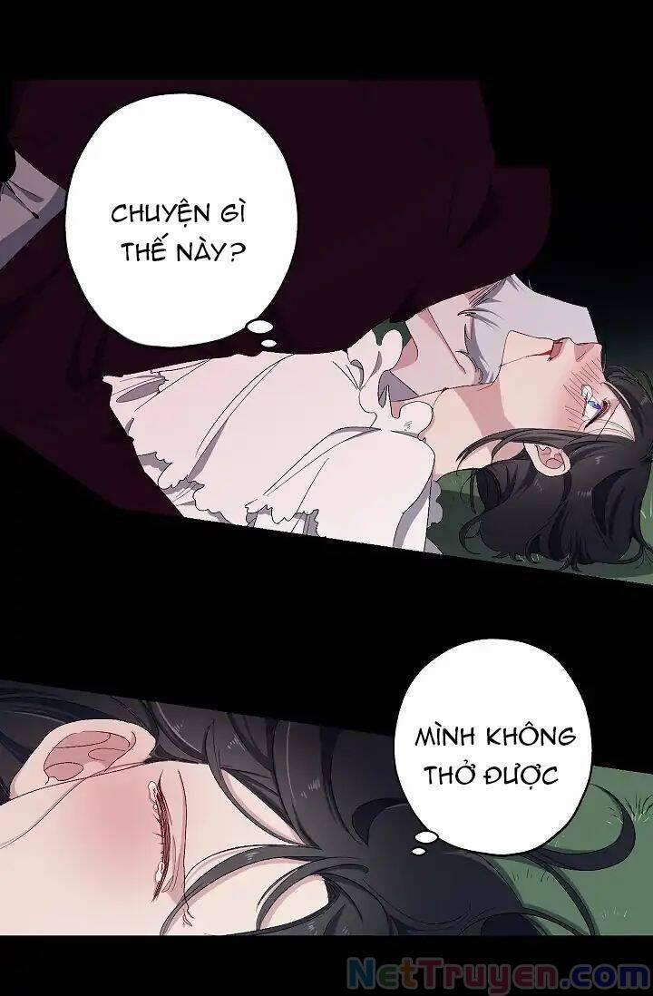 Tình Điên Dại 14 trang 7