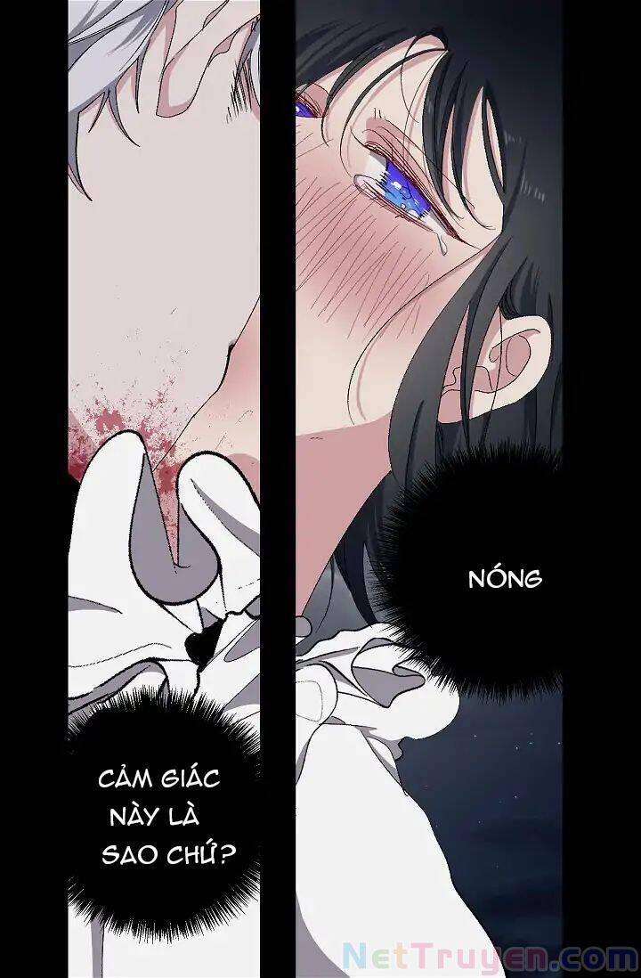 Tình Điên Dại 14 trang 8