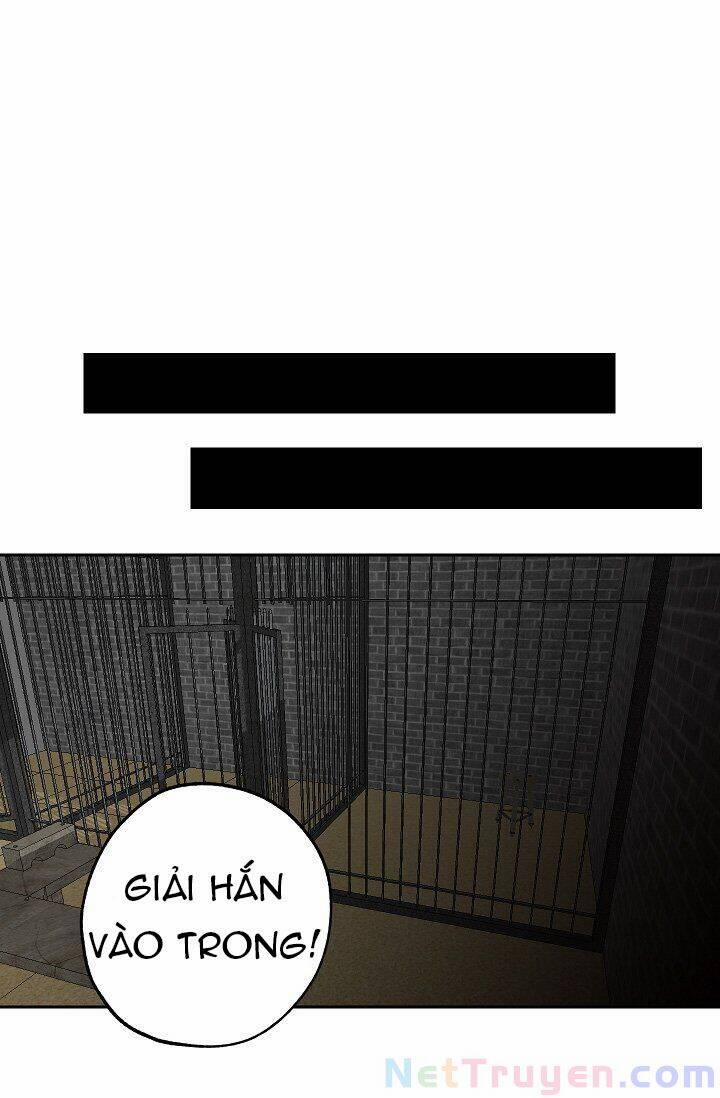 Tình Điên Dại 15 trang 25