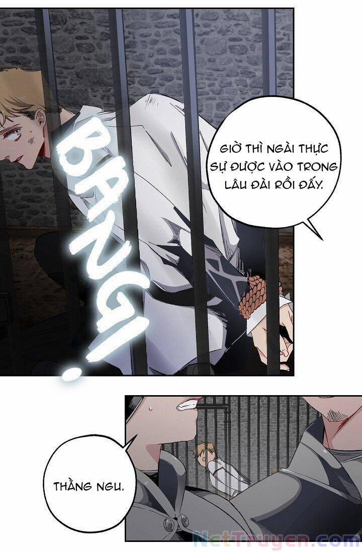 Tình Điên Dại 15 trang 26