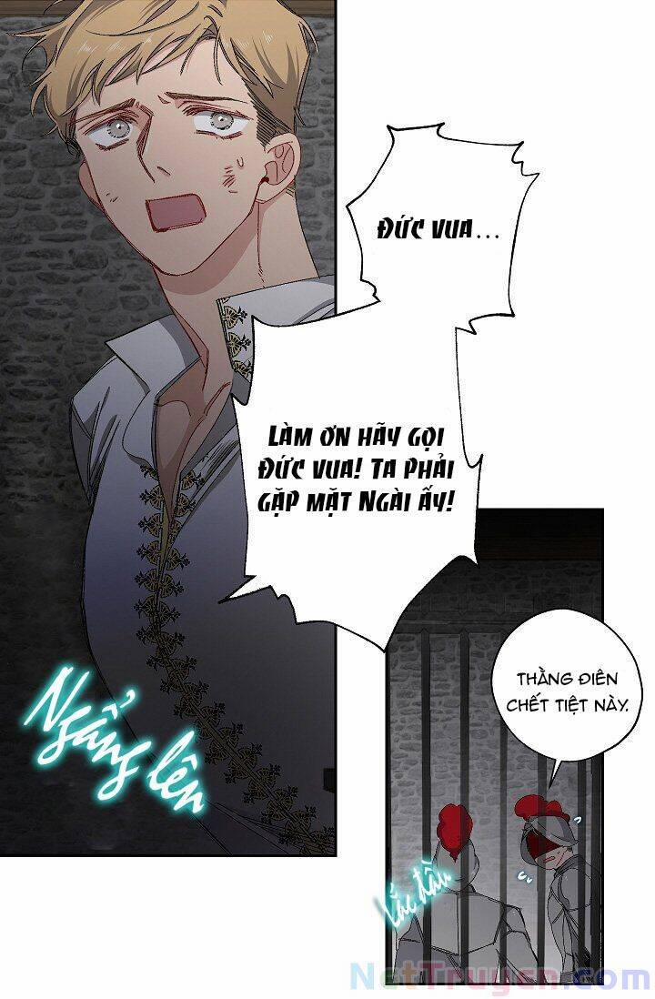 Tình Điên Dại 15 trang 27