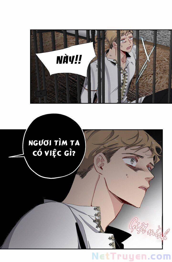 Tình Điên Dại 15 trang 28