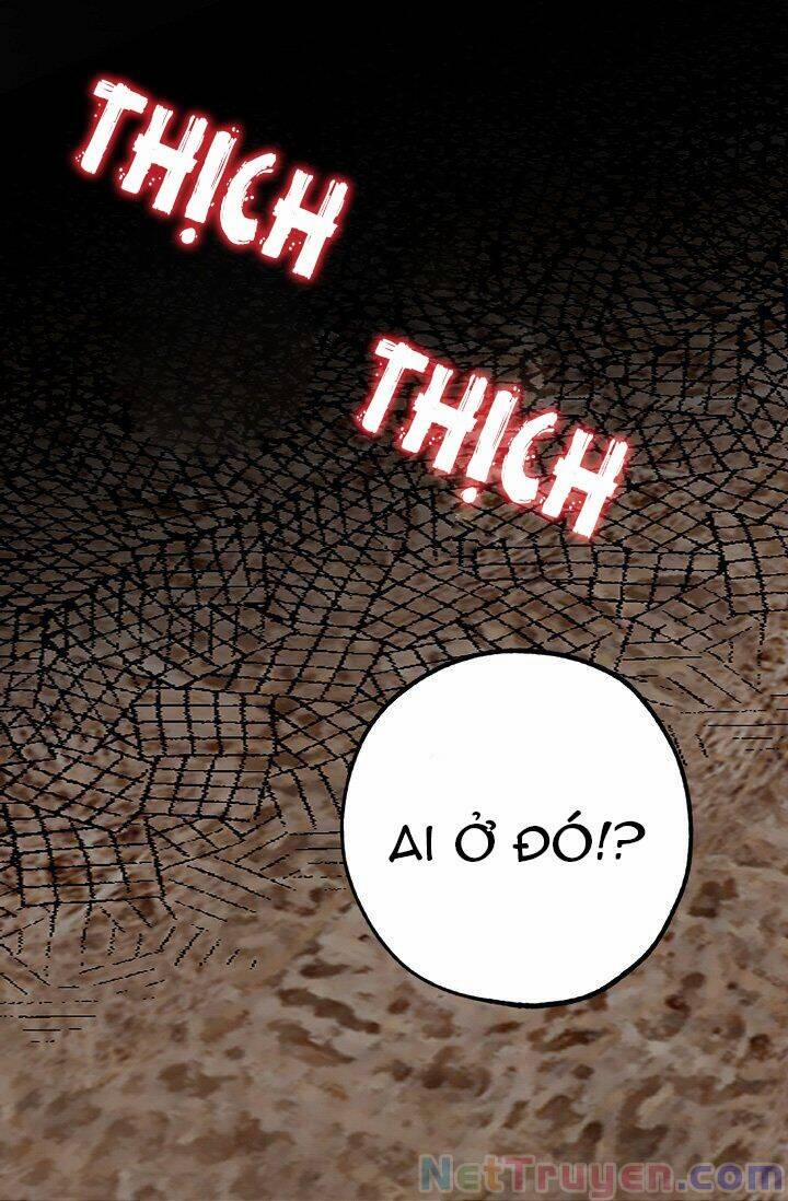 Tình Điên Dại 15 trang 30