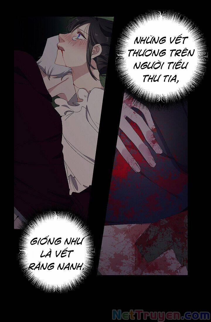 Tình Điên Dại 15 trang 5