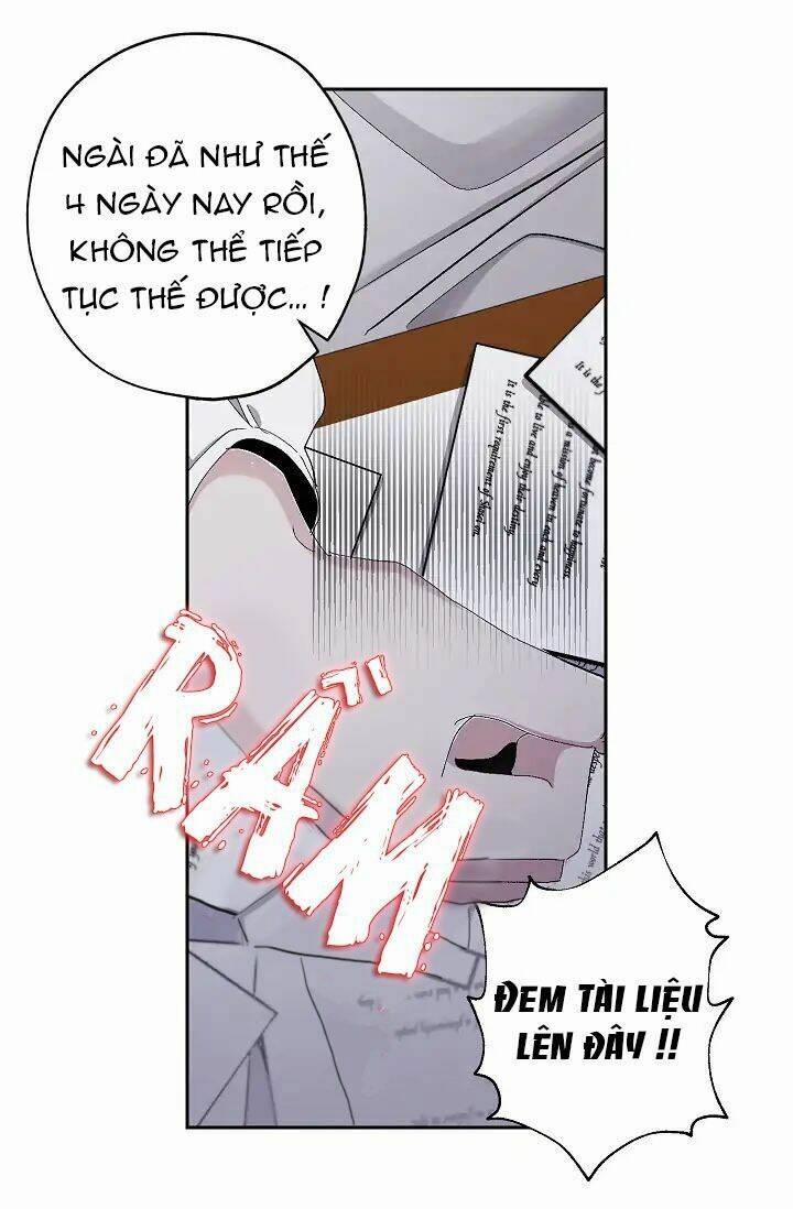 Tình Điên Dại 17 trang 16