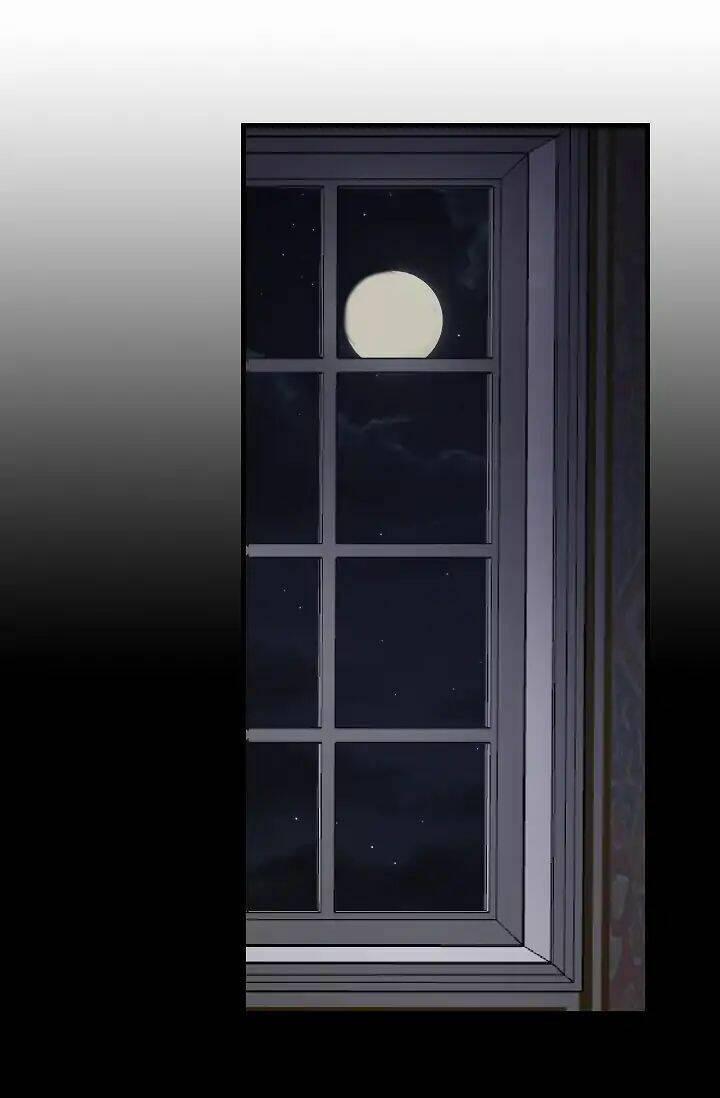 Tình Điên Dại 17 trang 29