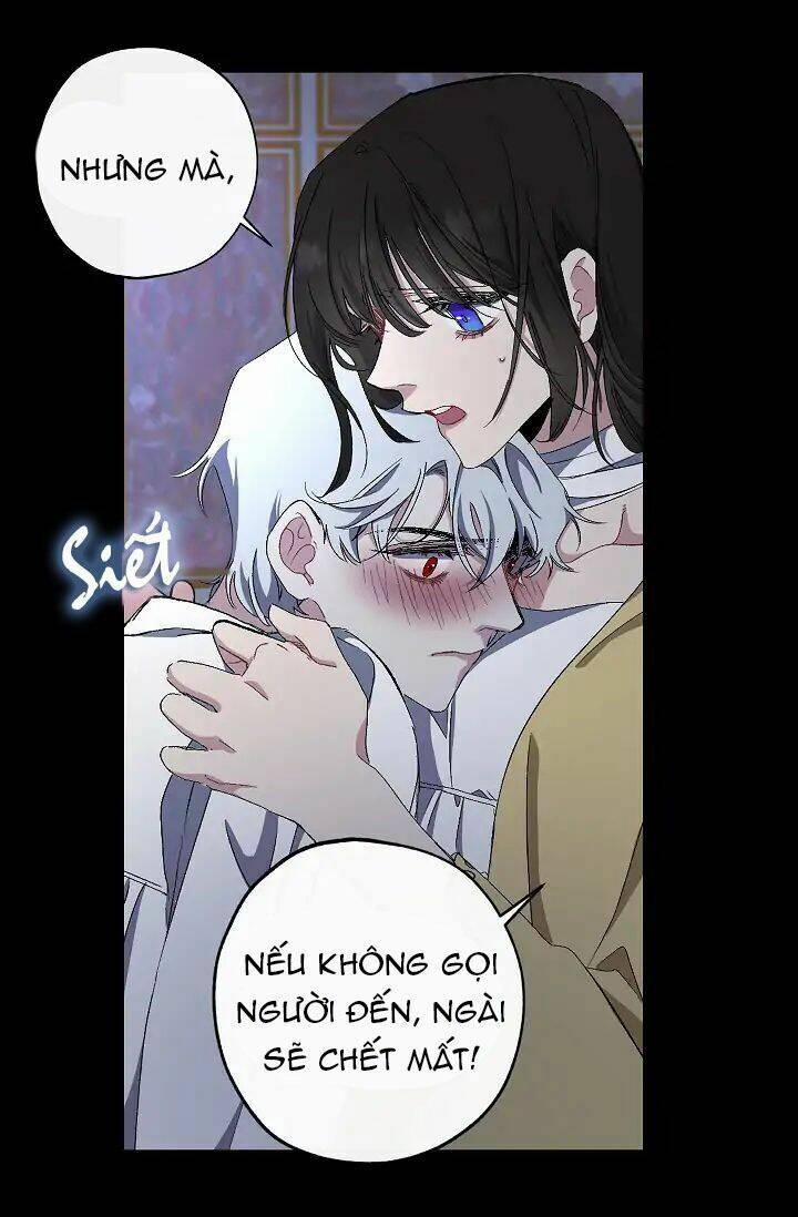 Tình Điên Dại 19 trang 23