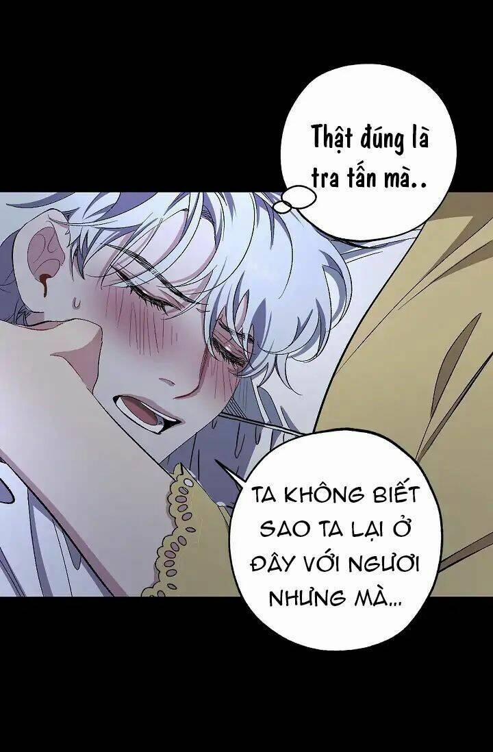 Tình Điên Dại 19 trang 24