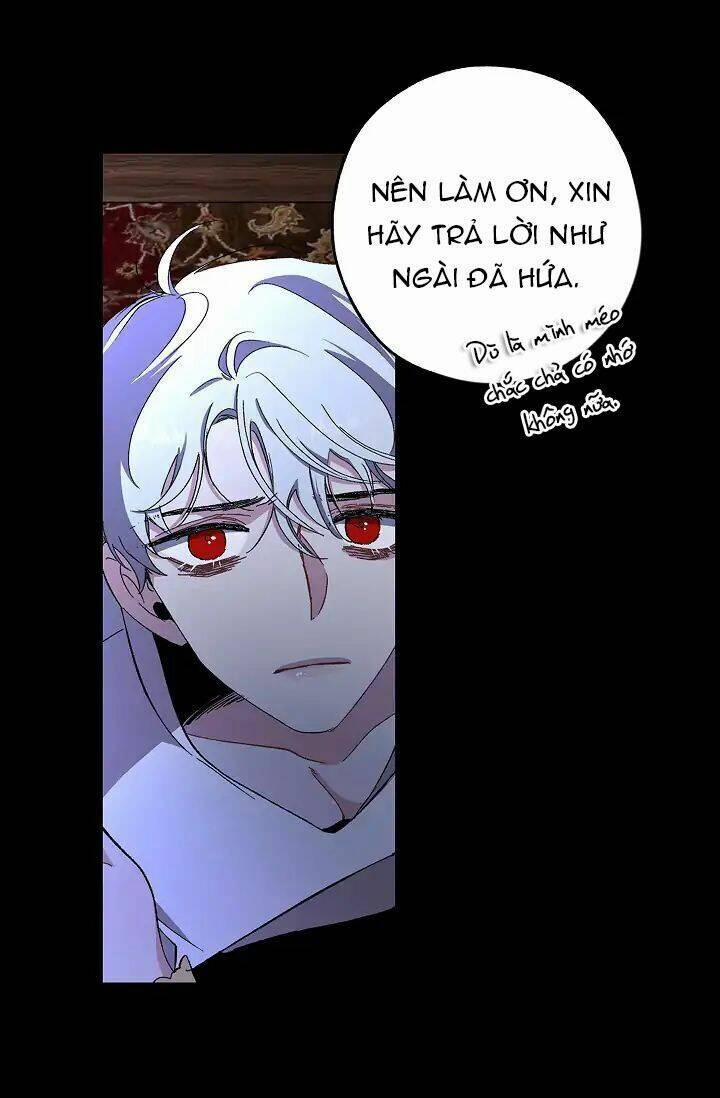 Tình Điên Dại 19 trang 28