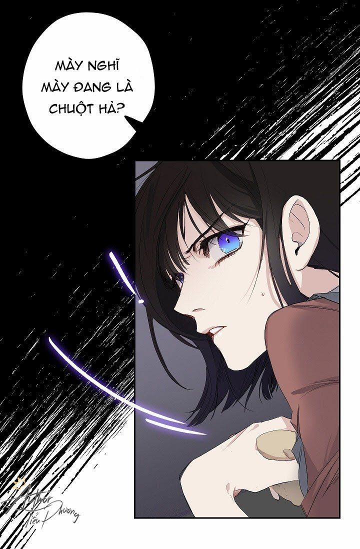 Tình Điên Dại 2 trang 29