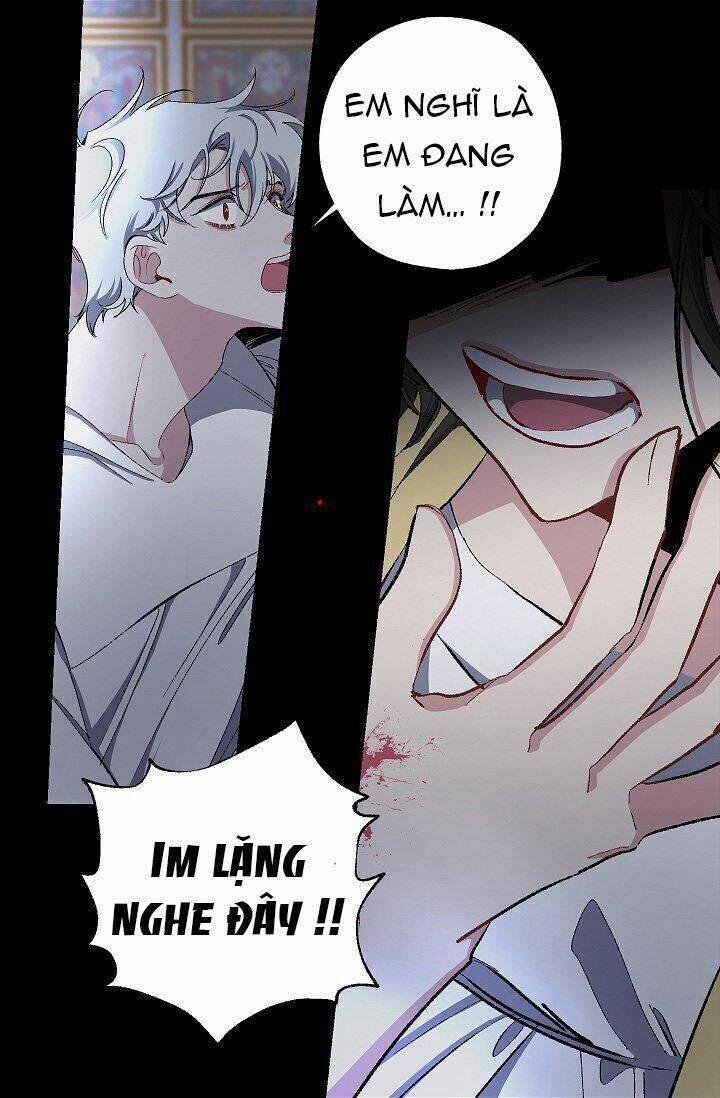 Tình Điên Dại 20 trang 11