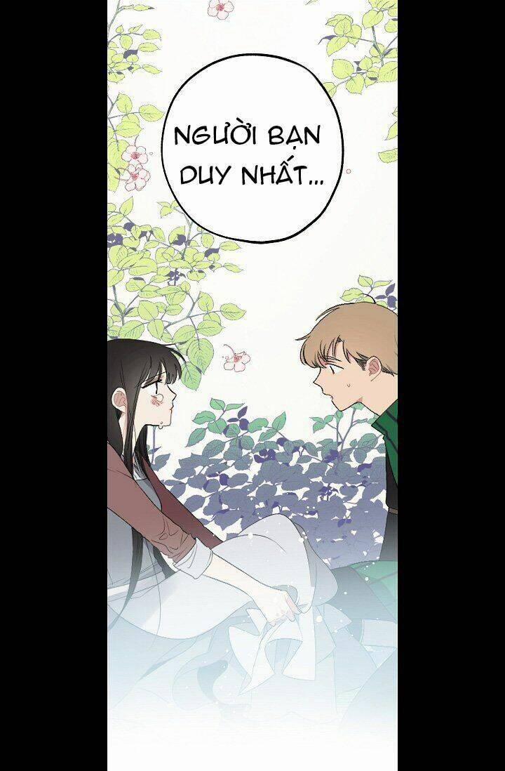 Tình Điên Dại 20 trang 33