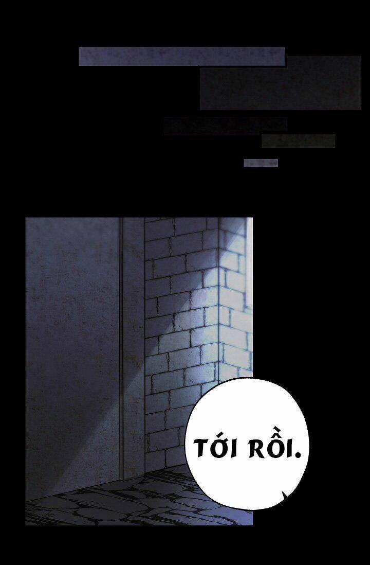 Tình Điên Dại 21 trang 27