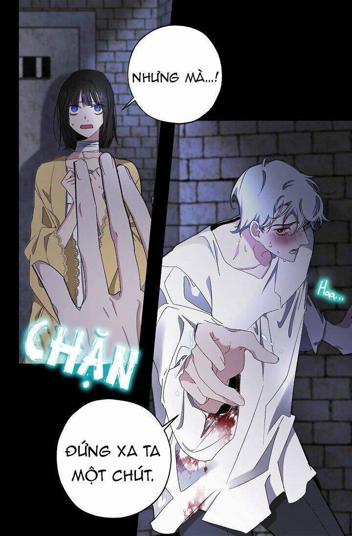 Tình Điên Dại 21 trang 37