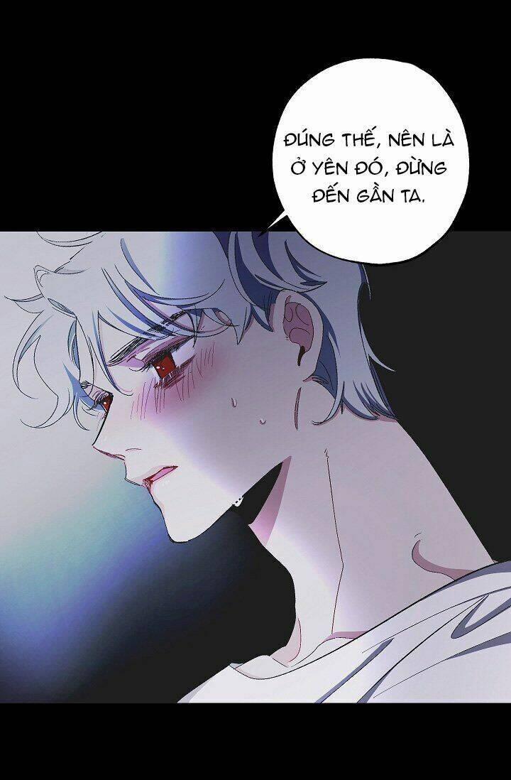 Tình Điên Dại 21 trang 39