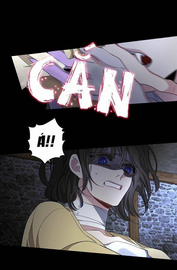 Tình Điên Dại 22 trang 15