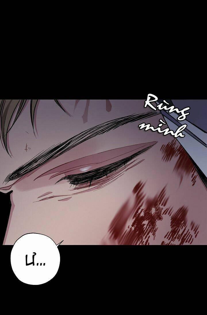 Tình Điên Dại 22 trang 4