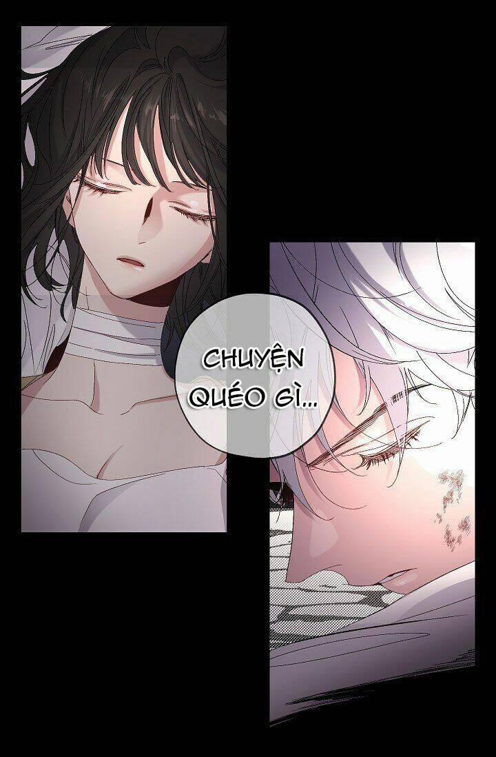 Tình Điên Dại 23 trang 11