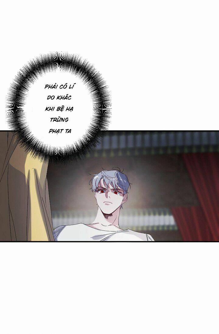 Tình Điên Dại 24 trang 25