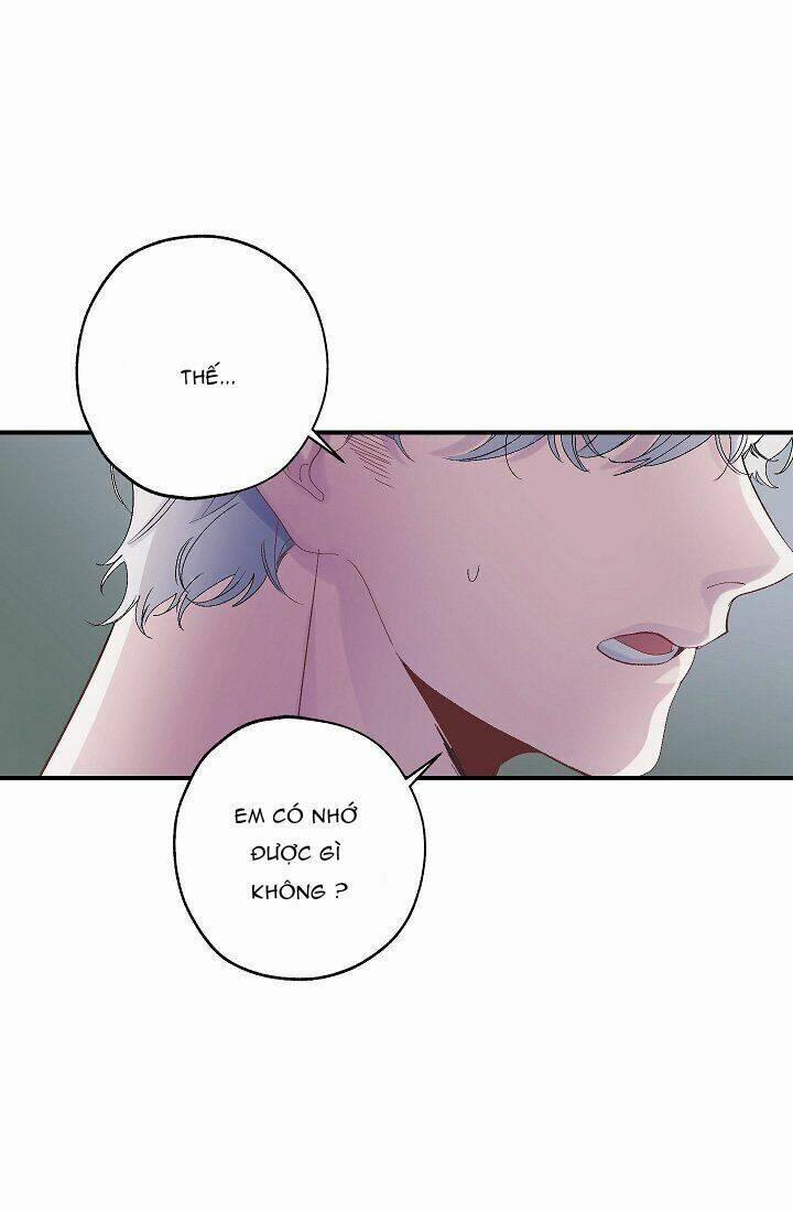 Tình Điên Dại 24 trang 42