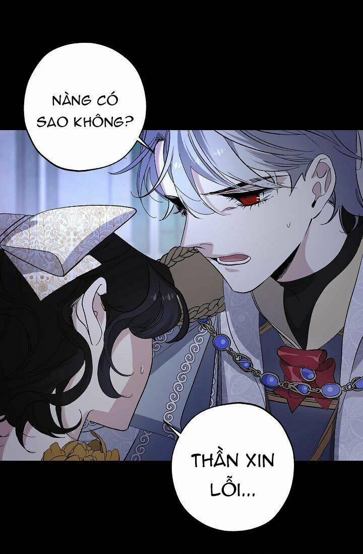 Tình Điên Dại 33 trang 11