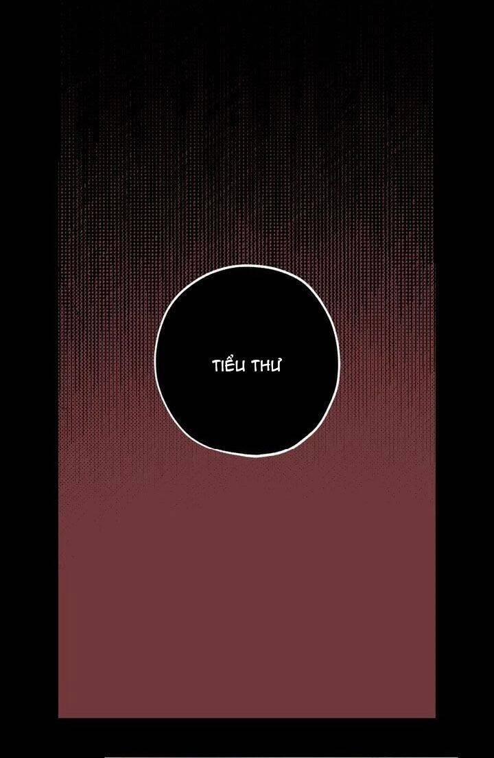 Tình Điên Dại 36 trang 33