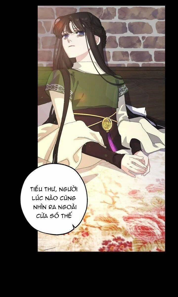 Tình Điên Dại 36 trang 34