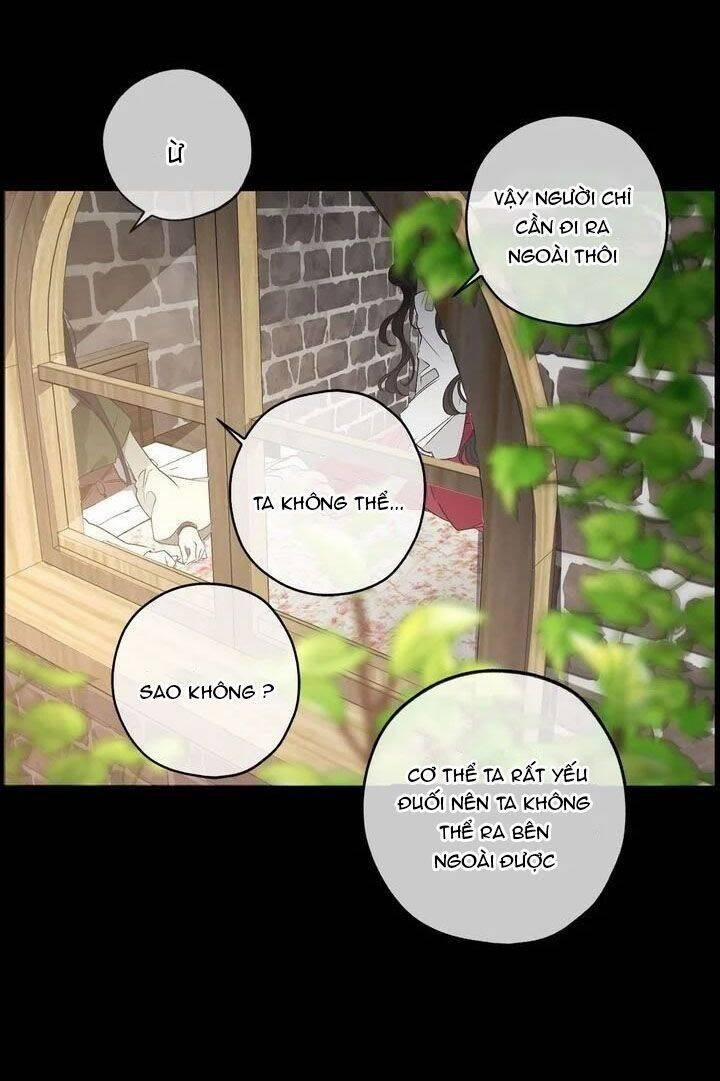 Tình Điên Dại 36 trang 36