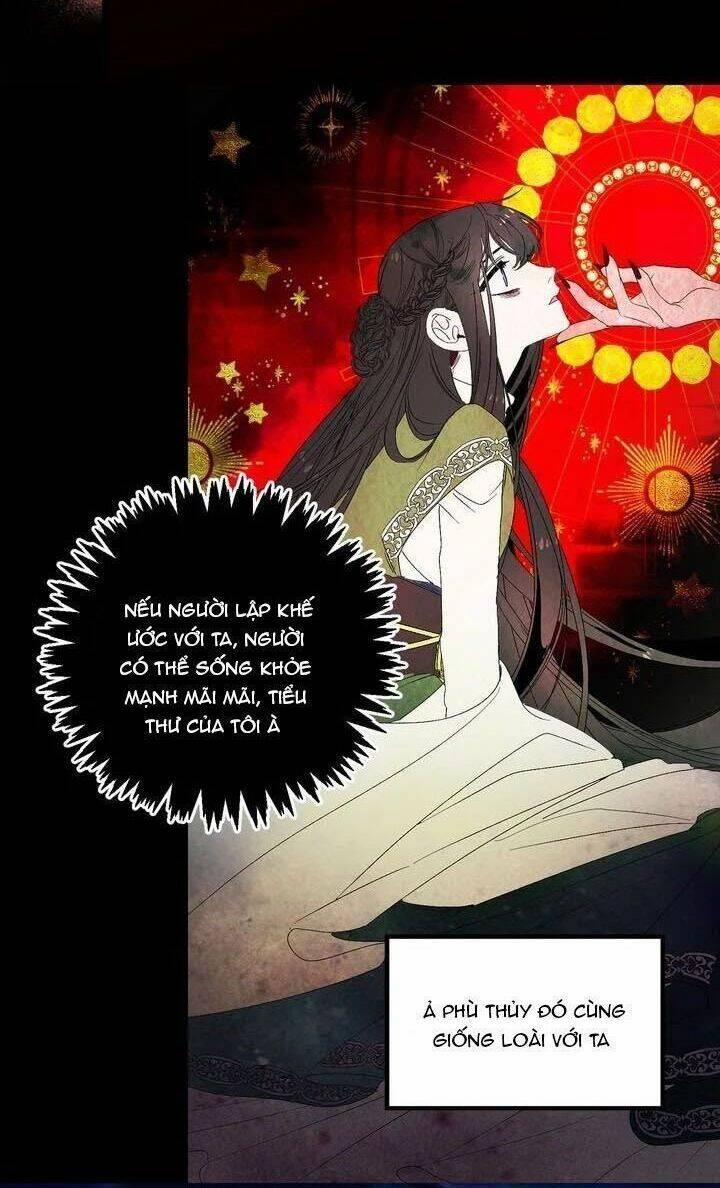 Tình Điên Dại 36 trang 40