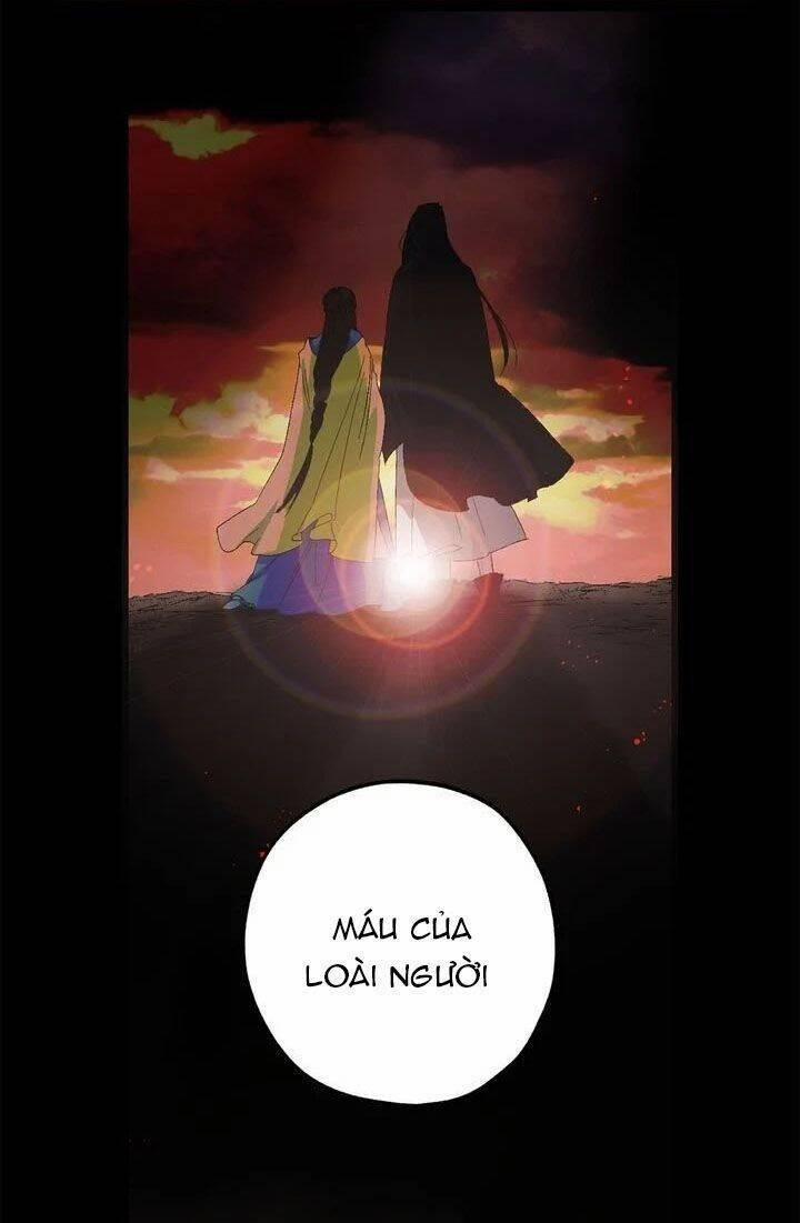 Tình Điên Dại 36 trang 47