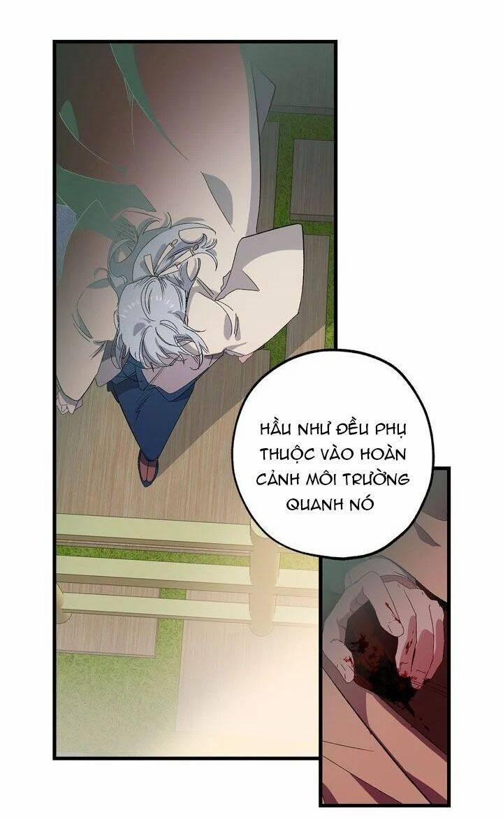 Tình Điên Dại 37 trang 23